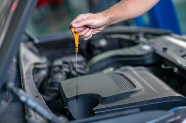 Tools and Supplies Needed for an Oil Change
