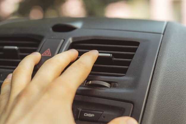 Using Natural Remedies to Freshen Up Your Car