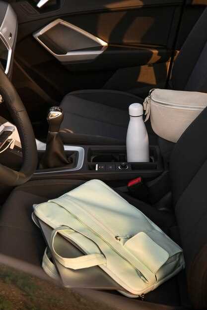 Tips for Deodorizing a Smelly Car Interior