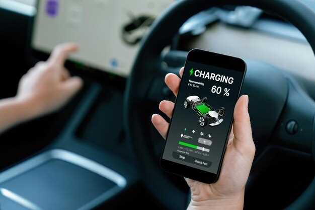 Infotainment Interfaces and Connectivity Options